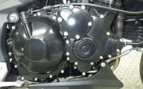 TRIUMPH TIGER 1050 2009