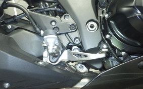 KAWASAKI NINJA 1000SX 2024 ZXT02K