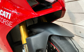 DUCATI PANIGA-REV4S 2019 DA00J