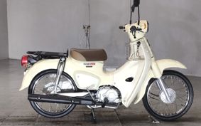 HONDA SUPER CUB50 AA09