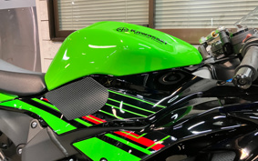 KAWASAKI NINJA ZX-6R 2022 ZX636G