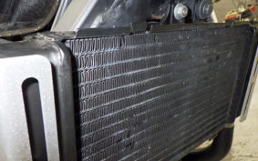 HONDA HORNET 250 MC31