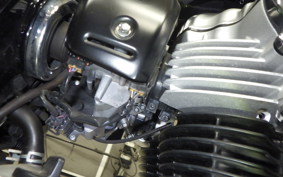 KAWASAKI W800 2024 EJ800E