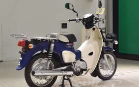 HONDA C110 SUPER CUB 2024 JA42