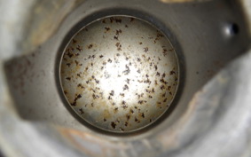 SUZUKI INTRUDER 1400 1994 VX51L