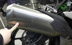 KAWASAKI ZX-4RR 2023 ZX400P