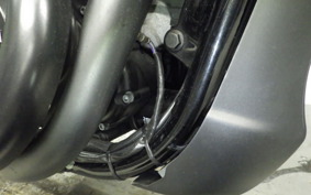 HARLEY XG750 STREET ROD 2021