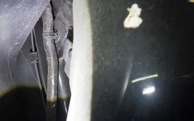 HONDA TACT-4ﾍﾞｰｼｯｸ