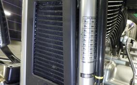 HARLEY FLSTFI1920 2025