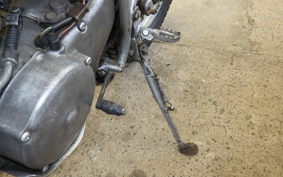 YAMAHA TY125 2020 539