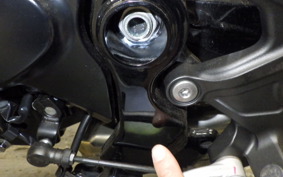 KAWASAKI Z900RS 2023 ZR900K