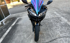 YAMAHA YZF-R15 RG06