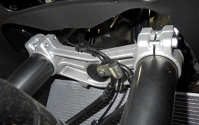 KAWASAKI NINJA 1000 SX 2025