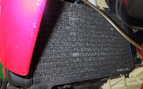 YAMAHA TRX850 1999 4NX