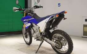 YAMAHA WR250R 2019 DG15J