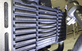 HONDA HORNET 250 MC31