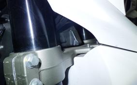 YAMAHA WR250X 2021 DG15J