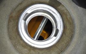 HONDA GIORCUB 2010 AF53