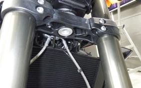 TRIUMPH STREET TRIPLE RS 2026