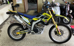 YAMAHA WR250R DG15J