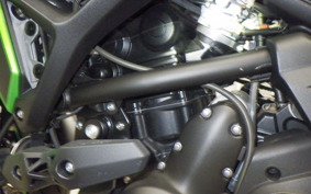 KAWASAKI VERSYS A 2024 LE650H