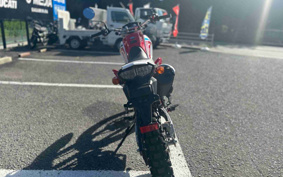 YAMAHA  SEROW 250 FINAL ED DG31J