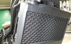 HONDA REBEL 250 S MC49