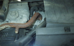 YAMAHA JOG Gen.5 2019 SA36J