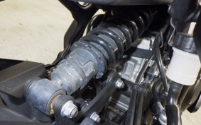 KAWASAKI ZX-4R SE 2023 ZX400P