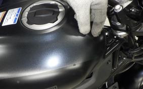 KAWASAKI ELIMINATOR400-3SE 2023 EL400A