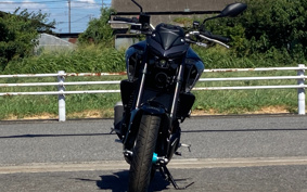 YAMAHA MT-25 RG74J