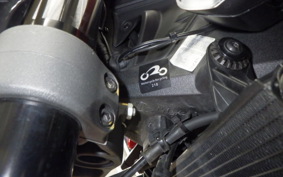 DUCATI MONSTER 937 + 2021