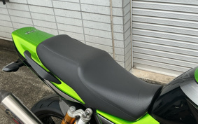 KAWASAKI ZRX1200 DAEG 2010 ZRT20D