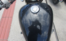HONDA STEED 400 2024 NC26