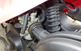 HONDA ZOOK AF26