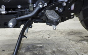 TRIUMPH SCRAMBLER 900 2023