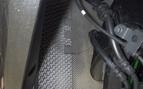 KAWASAKI ZX 1400 NINJA R A 2019