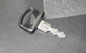 HONDA LITTLE CUB 2023 AA01