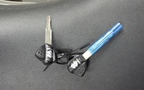 SUZUKI GSX-R1000 2010