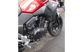 SUZUKI STROM 250 DS11A