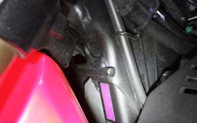 HONDA CRF250 GEN 2 RALLY 2022 MD47
