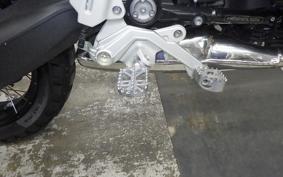 BMW R12G/S 2025