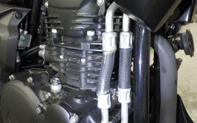 YAMAHA FZ25
