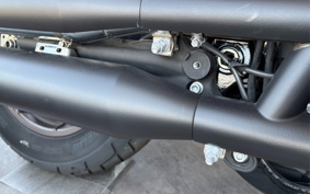 HARLEY FXLRS 2022 YWZ