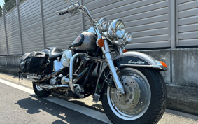 HARLEY FLSTC 2014 BJL