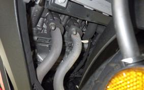 HONDA CBR250RR A 2011 MC51