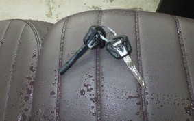 TRIUMPH SCRAMBLER400X 2025