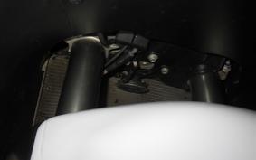 KAWASAKI ZX 1400 NINJA R A 2020