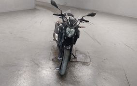 KAWASAKI Z250 SL BR250E