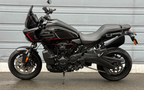 HARLEY PAN AMERICA 1250ST 2025 ZJS